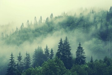Forest Mist. Hipster Vintage Landscape with Foggy Fir Forest and Mountain View