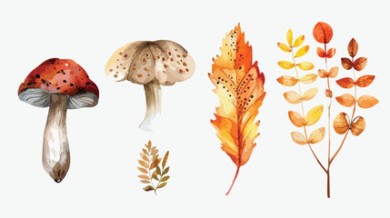 Watercolor Illustration Four of autumn elements Vector