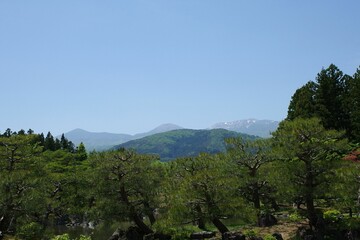 残雪白く輝く奥羽山脈