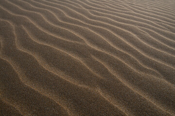 Beautiful sand waves or sand waves caused by the wind. Wind action constantly changes the height, shape, size and angle of the dunes. Ripple marks on coastal dunes caused by seasonal wind in autumn.	