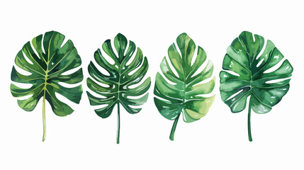 Watercolor Illustration Four of Tropical Leave Vector