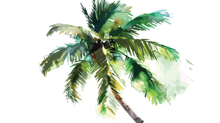 Watercolor palm tree hand painted isolated on white background