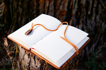 Handmade notebook with wooden cover.