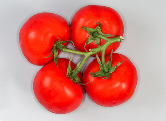 Red tomatoes on branch on a gray background, top view