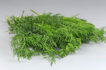 Heap of freshly harvested dill on gray background, close-up