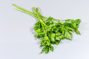 Stems of fresh parsley on a gray background