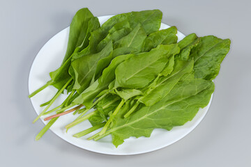 Leaves of the garden sorrel on dish on gray background