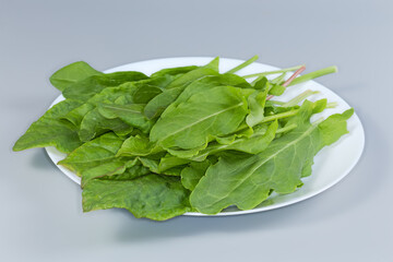 Garden sorrel leaves on dish on gray background, close-up