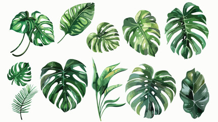 Watercolor tropical leaves arrangement jungle plants