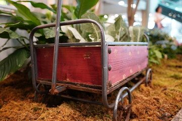 Old miniature wooden trolley with plants in the greenhouse