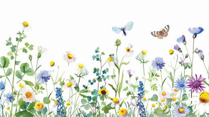 Watercolor wild flowers chamomile clover butterflies