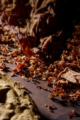 Dried cutted tobacco leaves. Textured abstract background.