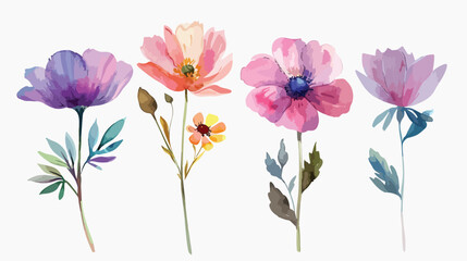 Wild flowers Four  watercolor digital illustration