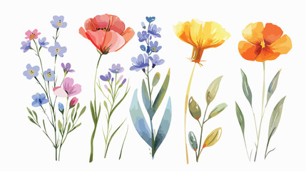 Wild flowers Four  watercolor digital illustration