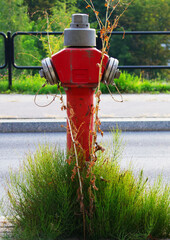 Hydrant 