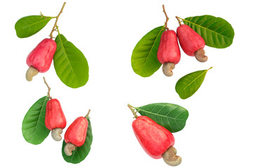 Set of Cashews fruit ripe with green leaf on isolated white background.