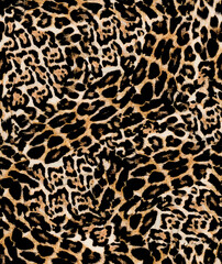 PH04 LEOPAR TARAMA ok .eps