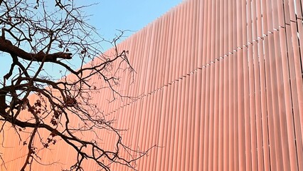 Facade of modern building and tree branch 