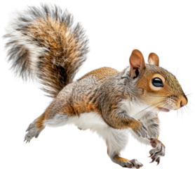 Full body shot of a squirrel, Generative Ai