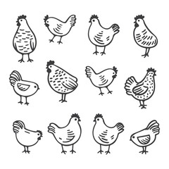 Collection of chickens as flat logo designs, vector illustrations on white background