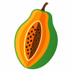 Vegetable papaya fruit vector illustration 