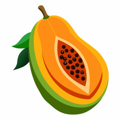 Vegetable papaya fruit vector illustration 
