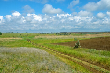 Fototapeta premium Feather-grass true steppe. Northern Black Sea region. Most common is (Stipa lessingiana or Stipa brauneri). Ephemeral river valley slope, reeds, partial grazing upland meadow, harvested runoff. Crimea