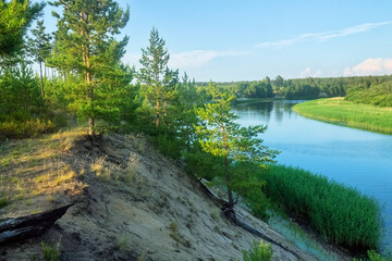 Northern River cuts through glacial-fluvioglacial sand deposits (kame). High banks are washed away by current at river loop (meander scroll. Pine forests on shore. Rosson River average reaches. Baltic