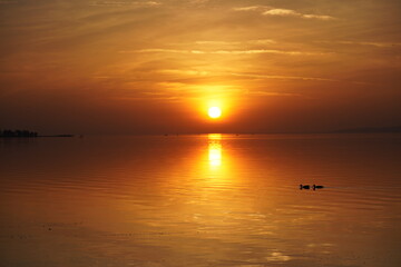 Obraz premium Beautiful sunset above a lake in Hungary Balaton 