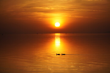 Obraz premium Beautiful sunset above a lake in Hungary Balaton 
