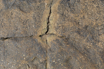 Stone texture worn by the wind and the sea of ​​the coast located on a wild beach.