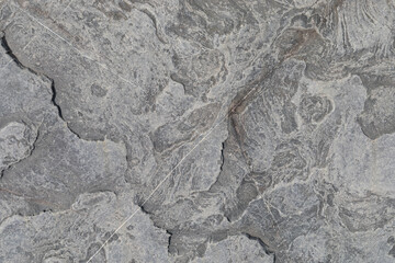 Stone texture worn by the wind and the sea of ​​the coast located on a wild beach.