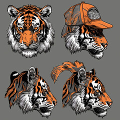 a close up of four different types of tiger heads