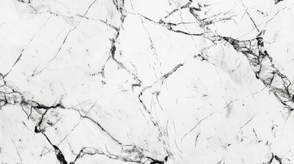 White marble texture with black and gray veins.
