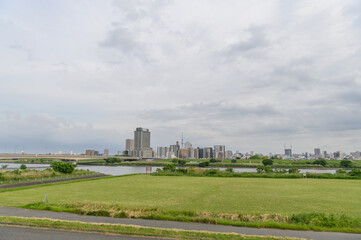 曇天の荒川土手