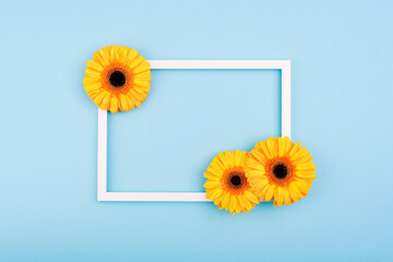 Empty picture frame with gerbera flowers on blue pastel background. Greeting card template with...