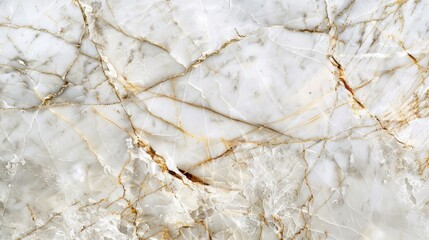 The image shows white marble with gold veins