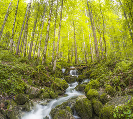 Rothbach Waterfall near Konigssee lake in Berchtesgaden National Park, Germany