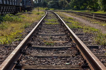Obraz premium An abandoned and rusted railway track showing a diminishing perspective as it curves off through weeds into the distance at an abandoned railroad station in South Africa.