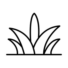 Grass leaves line icon