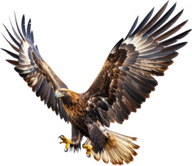 Full body shot of a Eagle , Generative Ai