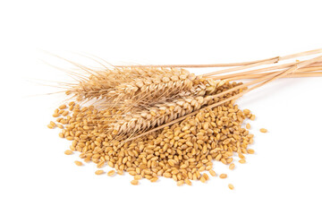 wheat ears and wheat seed grain isolated on white background.