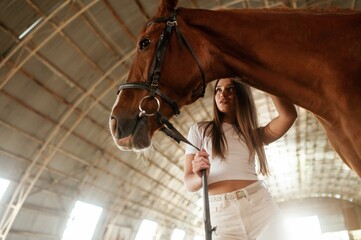 View from below. Beautiful young woman is with horse indoors