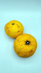 自然栽培グレープフルーツ・傷物グレープフルーツ／naturally grown grapefruit・damaged grapefruit／자연 재배 자몽・흉터 자몽