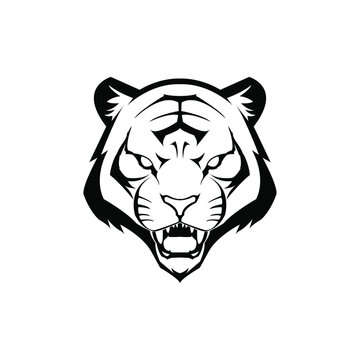 tiger head vector logo2