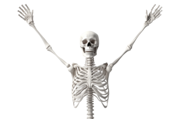 Ethereal Skeleton Reaching for the Sky on a White or Clear Surface PNG Transparent Background.