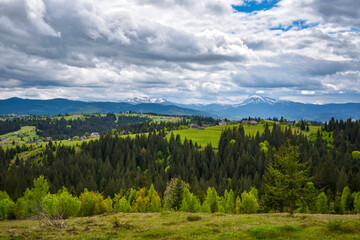 Picturesque mountain landscape. View of Mount Hoverla and Petros. Ukraine Carpathian mountains.