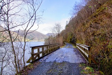 Fototapeta premium wooden bridge in the forest