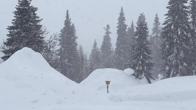 Sweden lantern outdoor light standing deep in the winter snow in forest pine setting in snow storm blizzard at daylight