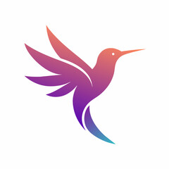 Modern humming bird logo design vector art illustration